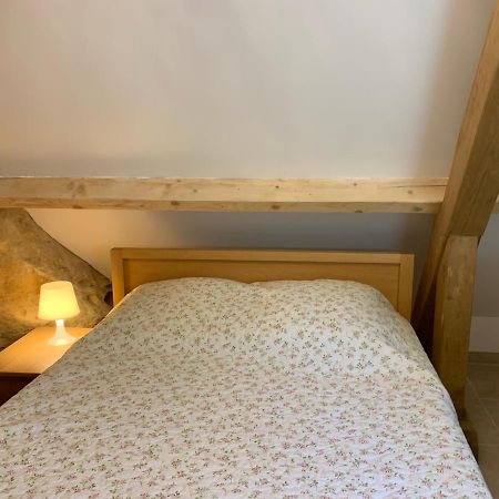 Gite Chez Le Gaulois Carsac-Aillac Экстерьер фото