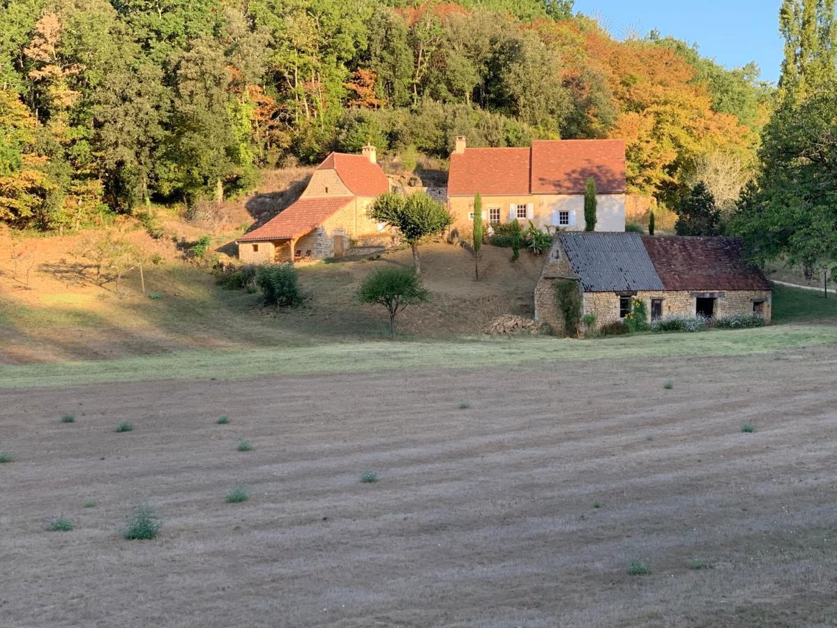 Gite Chez Le Gaulois Carsac-Aillac Экстерьер фото