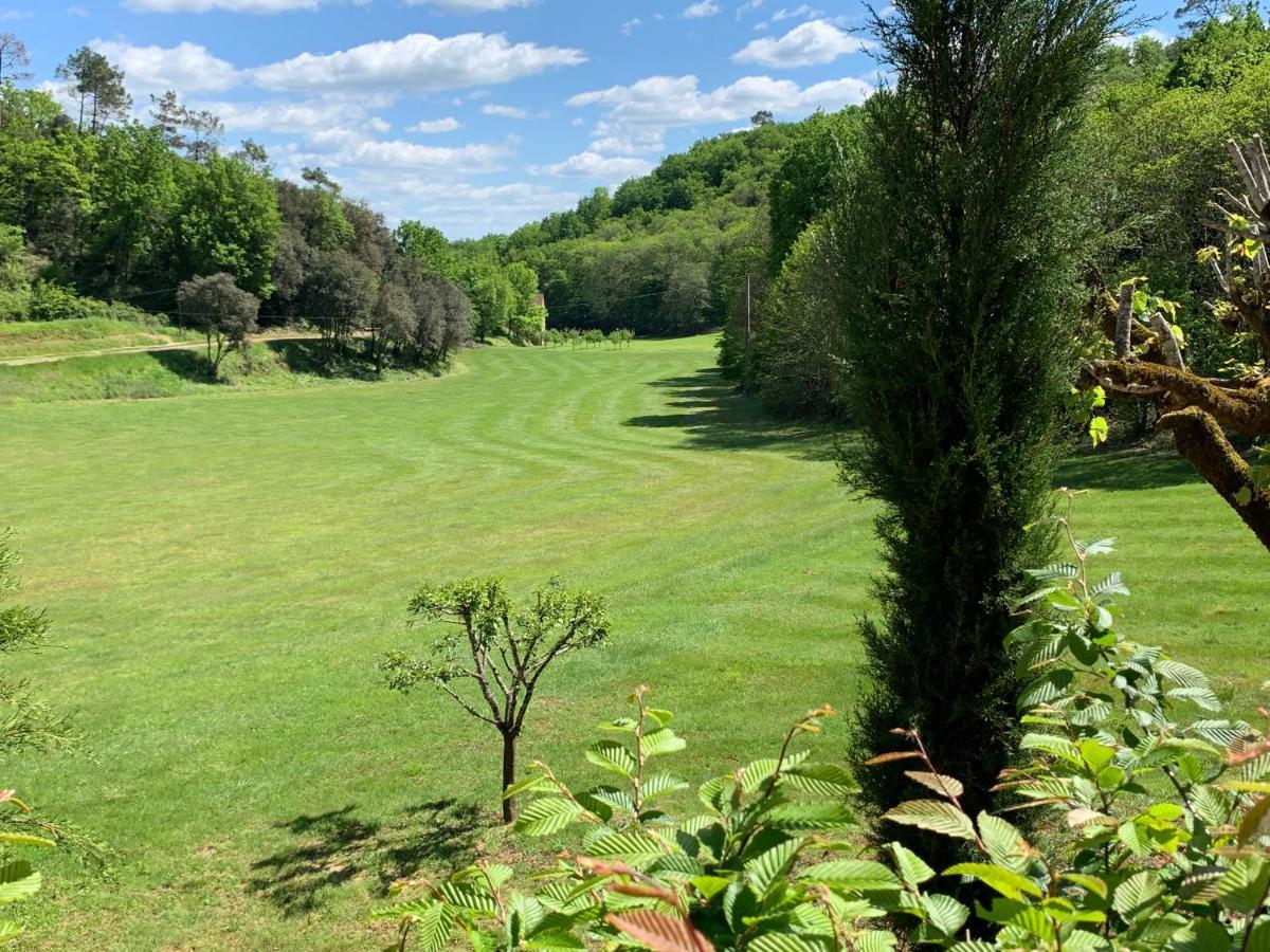 Gite Chez Le Gaulois Carsac-Aillac Экстерьер фото